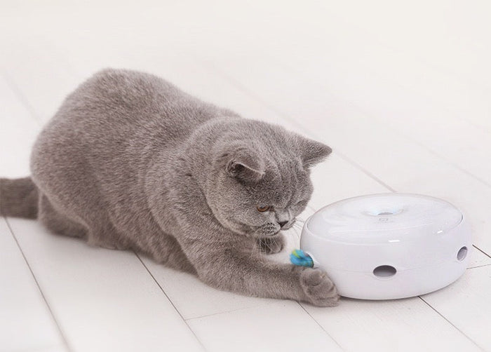 Intelligentes interaktives UFO-förmiges Spielzeug für Katzen