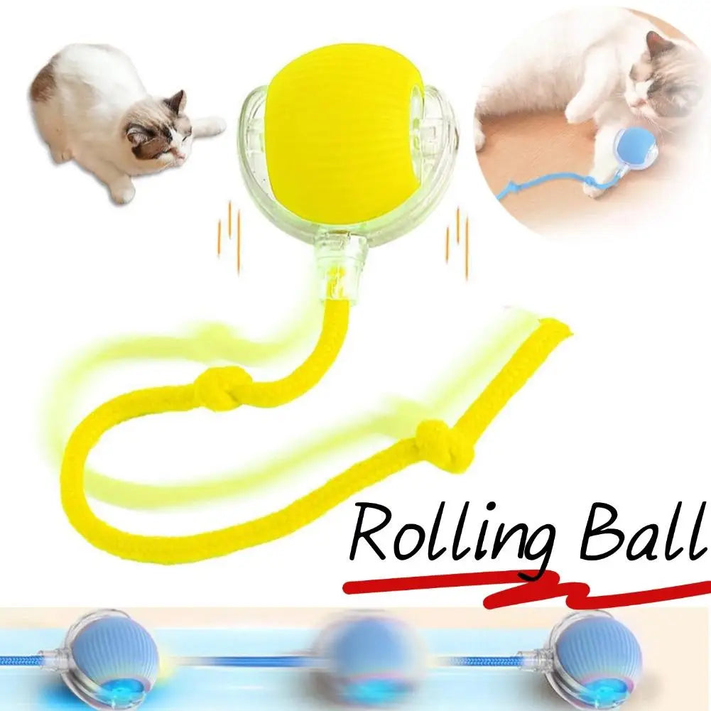 Intelligenter und interaktiver rollender Ball für Katzen