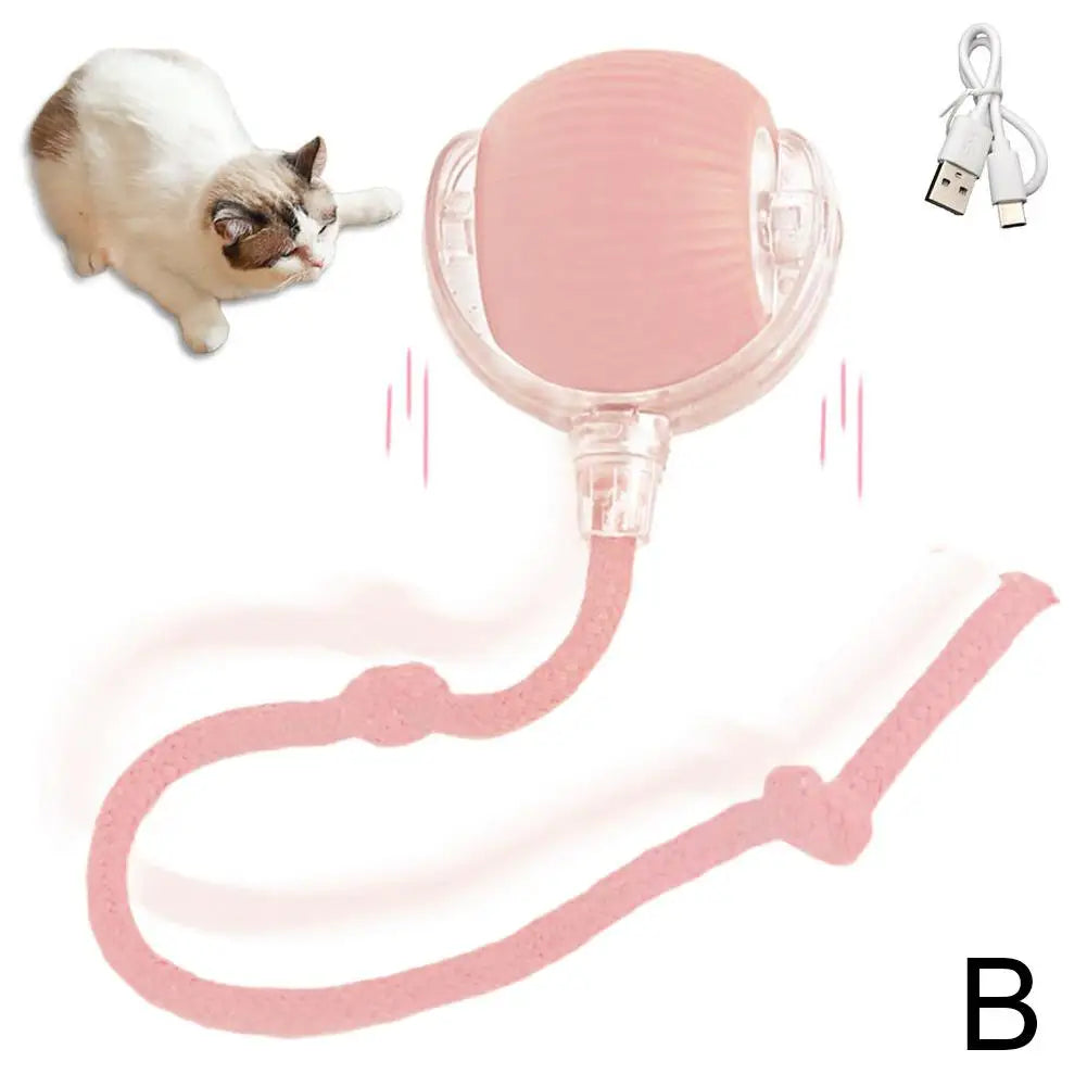 Intelligenter und interaktiver rollender Ball für Katzen